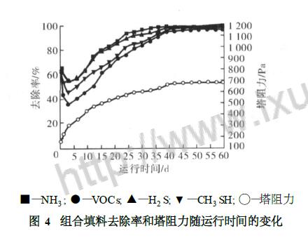  組合填料去除率和塔阻力隨運(yùn)行時(shí)間的變化